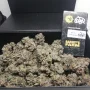 Семена конопли Tropicana Cherry от Barney's Farm
